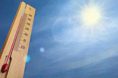 Guide Canicule 2025